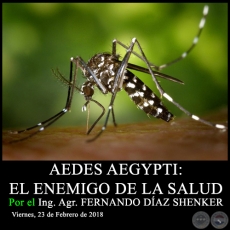 AEDES AEGYPTI: EL ENEMIGO DE LA SALUD - Ing. Agr. FERNANDO DÍAZ SHENKER - Viernes, 23 de Febrero de 2018